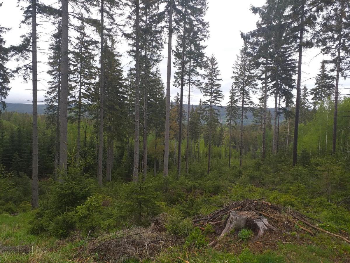 Apartament Przy Szlaku Szklarska Poręba Esterno foto